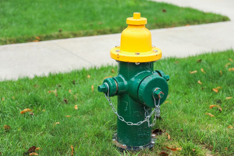 Multiple Hydrants in a Public Area