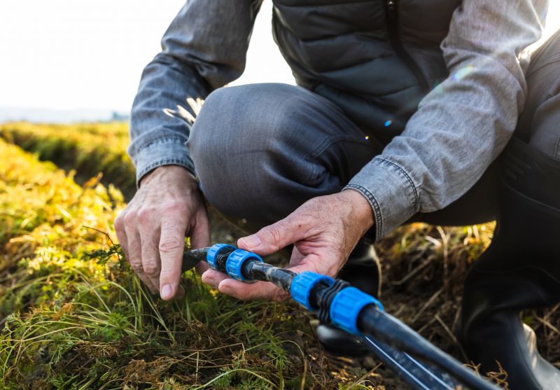 Maintenance of Hydrant Mountings